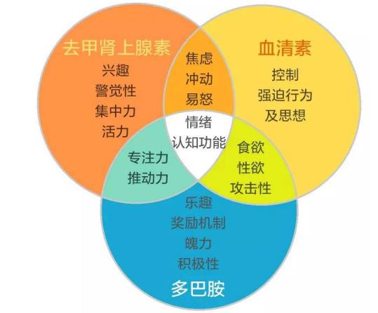 抑郁症能(néng)不(bù)能(néng)被徹底治愈，不(bù)再複發？